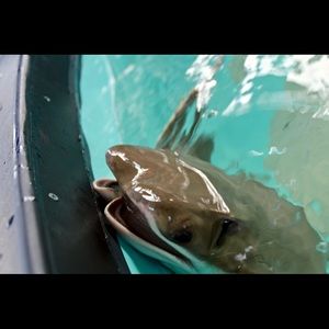 Hey!  I’m flapping at you!